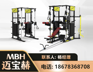 阿坝多功能综合训练器